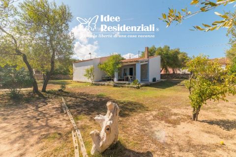Villa i Palau, Sassari, Palau - € 390.000 | Ref: casa di campagna - foto 2