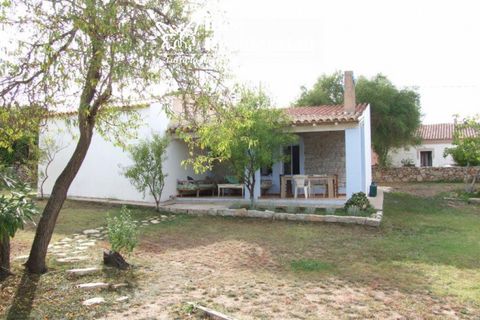Villa i Palau, Sassari, Palau - € 390.000 | Ref: casa di campagna - foto 5