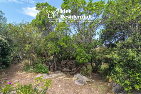 Lejlighed i Palau, Sassari, Palau - € 325.000 | Ref: vecchio marino TRILO - foto 19