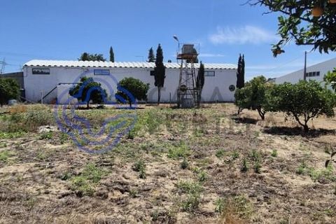 Helårsgrund i Palmela, Setubal, Palmela - € 470.000 | Ref: 1123741 - foto 5