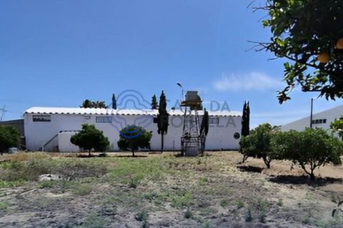 Helårsgrund i Palmela, Setubal, Palmela - € 470.000 | Ref: 1123741 - foto 13