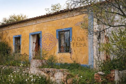 Farm i Silves, Faro, Silves - € 345.000 | Ref: 1123201 - foto 1
