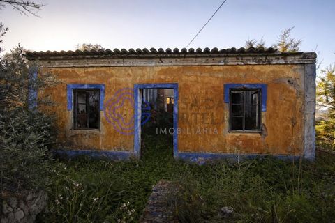 Farm i Silves, Faro, Silves - € 345.000 | Ref: 1123201 - foto 3