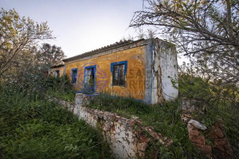 Farm i Silves, Faro, Silves - € 345.000 | Ref: 1123201 - foto 4