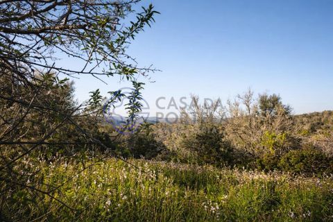 Farm i Silves, Faro, Silves - € 345.000 | Ref: 1123201 - foto 6