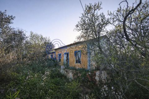 Farm i Silves, Faro, Silves - € 345.000 | Ref: 1123201 - foto 2