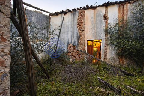 Farm i Silves, Faro, Silves - € 345.000 | Ref: 1123201 - foto 7
