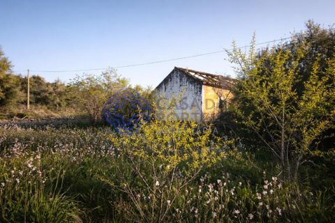 Farm i Silves, Faro, Silves - € 345.000 | Ref: 1123201 - foto 8