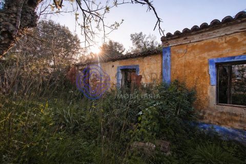 Farm i Silves, Faro, Silves - € 345.000 | Ref: 1123201 - foto 11