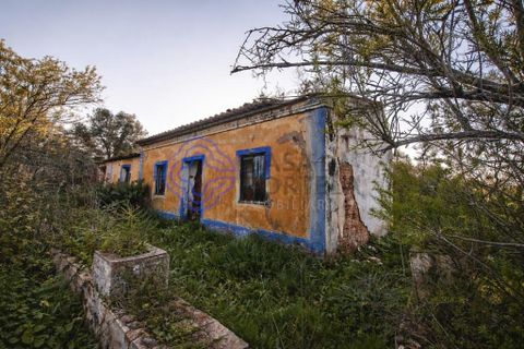 Farm i Silves, Faro, Silves - € 345.000 | Ref: 1123201 - foto 12