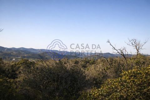 Farm i Silves, Faro, Silves - € 345.000 | Ref: 1123201 - foto 14