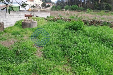 Helårsgrund i Valongo, Porto, Valongo - € 550.000 | Ref: 1108441 - foto 5
