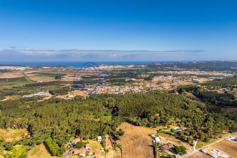 Helårsgrund i Alcobaca, Leiria, Alcobaca - € 200.000 | Ref: 1123721 - foto 26