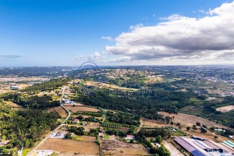 Helårsgrund i Alcobaca, Leiria, Alcobaca - € 200.000 | Ref: 1123721 - foto 29
