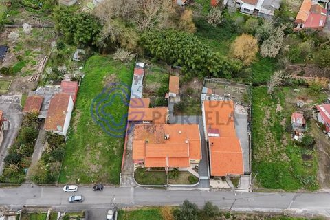 Rækkehus i Oliveira do Bairro, Aveiro, Oliveira do Bairro - € 315.000 | Ref: 1124471 - foto 41