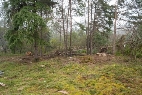 Terra a Condeixa-a-Nova, Coimbra, Condeixa-a-Nova - € 37.000 | Ref: C0289-01971 - foto 2