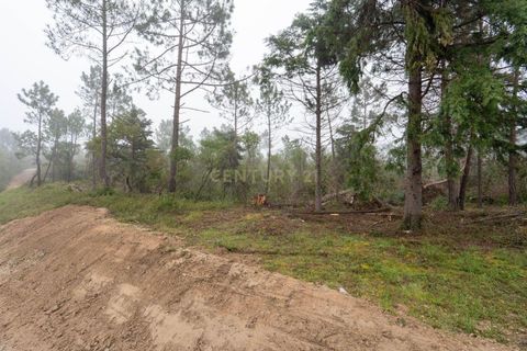 Terra a Condeixa-a-Nova, Coimbra, Condeixa-a-Nova - € 37.000 | Ref: C0289-01971 - foto 6