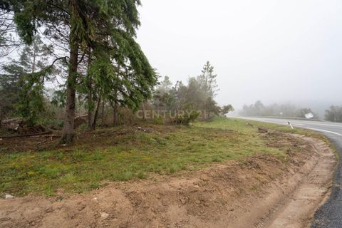 Terra a Condeixa-a-Nova, Coimbra, Condeixa-a-Nova - € 37.000 | Ref: C0289-01971 - foto 7