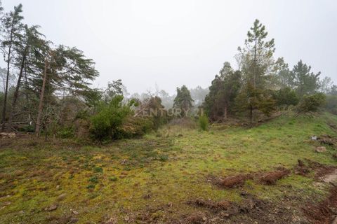 Terra a Condeixa-a-Nova, Coimbra, Condeixa-a-Nova - € 37.000 | Ref: C0289-01971 - foto 8