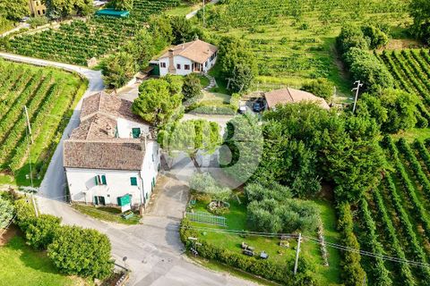 Villa a Vo', Padua, Vo' - € 2.500.000 | Ref: ML 1 - foto 3