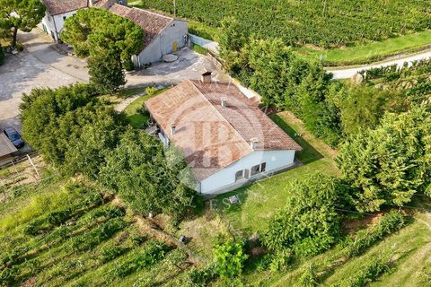Villa a Vo', Padua, Vo' - € 2.500.000 | Ref: ML 1 - foto 5