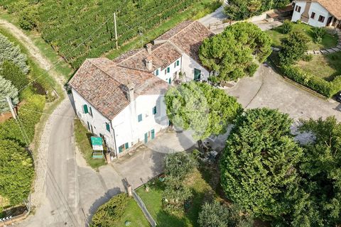 Villa a Vo', Padua, Vo' - € 2.500.000 | Ref: ML 1 - foto 6