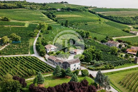 Villa a Vo', Padua, Vo' - € 2.500.000 | Ref: ML 1 - foto 16