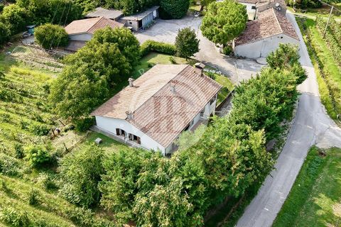 Villa a Vo', Padua, Vo' - € 2.500.000 | Ref: ML 1 - foto 17