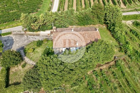 Villa a Vo', Padua, Vo' - € 2.500.000 | Ref: ML 1 - foto 18
