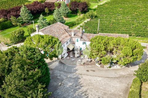 Villa a Vo', Padua, Vo' - € 2.500.000 | Ref: ML 1 - foto 19
