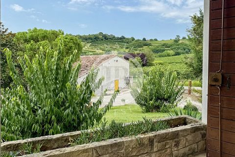 Villa a Vo', Padua, Vo' - € 2.500.000 | Ref: ML 1 - foto 24
