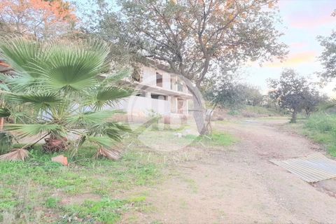 Villa i Tropea, Vibo Valentia, Tropea - € 275.000 | Ref: BI 4 - foto 5