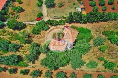 Villa a Ricadi, Vibo Valentia, Ricadi - € 350.000 | Ref: BI 18 - foto 2