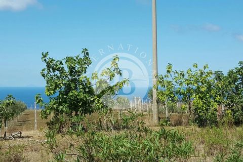 Villa a Ricadi, Vibo Valentia, Ricadi - € 350.000 | Ref: BI 18 - foto 3