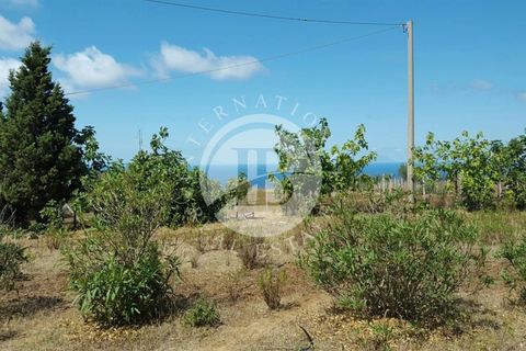 Villa a Ricadi, Vibo Valentia, Ricadi - € 350.000 | Ref: BI 18 - foto 4