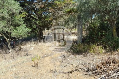Villa a Ricadi, Vibo Valentia, Ricadi - € 350.000 | Ref: BI 18 - foto 5