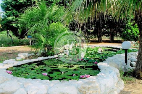 Villa i Ricadi, Vibo Valentia, Ricadi - € 470.000 | Ref: BI 19 - foto 10