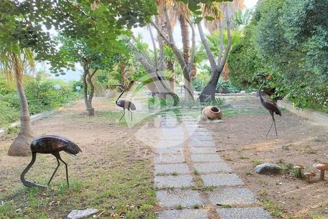 Villa i Ricadi, Vibo Valentia, Ricadi - € 470.000 | Ref: BI 19 - foto 11