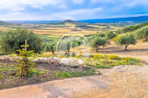 Villa i Noto, Siracusa, Noto - € 1.600.000 | Ref: AC 3 - foto 12