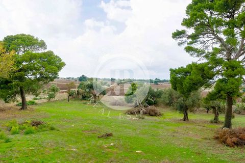 Villa a Ragusa, Ragusa, Ragusa - € 1.400.000 | Ref: AC 13 - foto 9