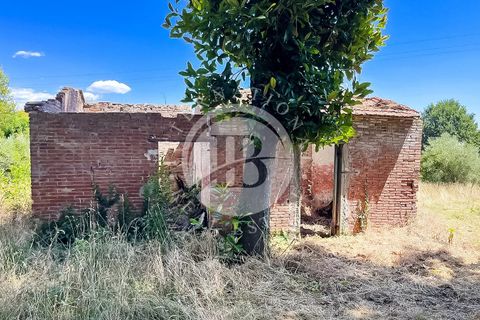Leilighet i Montecarlo, Lucca, Montecarlo - € 1 250 000 | Ref: RI 7 - foto 4