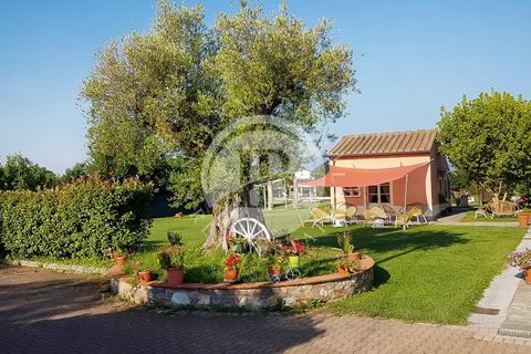 Villa i Altopascio, Lucca, Altopascio - € 1.350.000 | Ref: RI 16 - foto 7