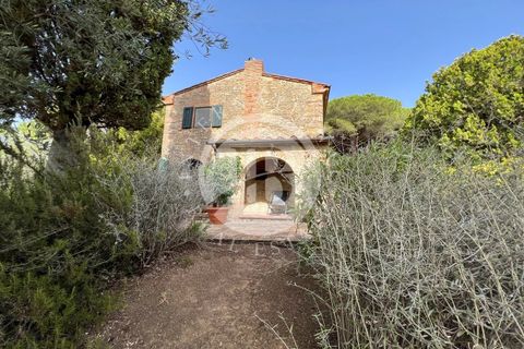 Villa a Guardistallo, Pisa, Guardistallo - € 1.150.000 | Ref: AI 1 - foto 7