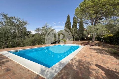 Villa a Guardistallo, Pisa, Guardistallo - € 1.150.000 | Ref: AI 1 - foto 15