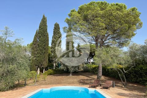 Villa a Guardistallo, Pisa, Guardistallo - € 1.150.000 | Ref: AI 1 - foto 17