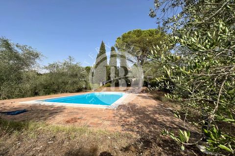 Villa a Guardistallo, Pisa, Guardistallo - € 1.150.000 | Ref: AI 1 - foto 19