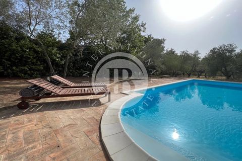 Villa a Guardistallo, Pisa, Guardistallo - € 1.150.000 | Ref: AI 1 - foto 21