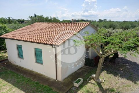 Villa i Rosignano Marittimo, Livorno, Rosignano Marittimo - € 690.000 | Ref: AI 2 - foto 5