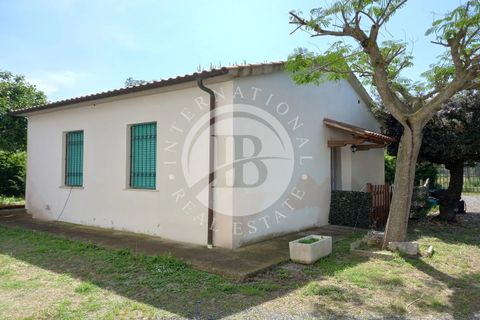 Villa i Rosignano Marittimo, Livorno, Rosignano Marittimo - € 690.000 | Ref: AI 2 - foto 6