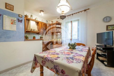 Villa i Rosignano Marittimo, Livorno, Rosignano Marittimo - € 690.000 | Ref: AI 2 - foto 13